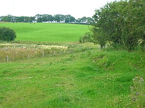 Lochend Loch - old shoreline - north-east