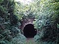 Long tunnel govajdia