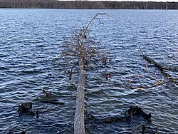 Manasquan Reservoir