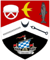Martin of Springburn Escutcheon