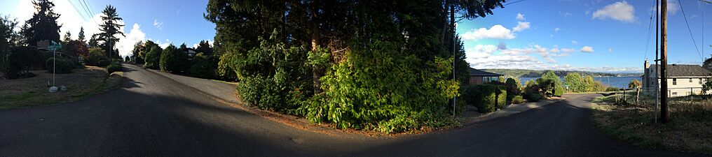 Matthews Beach neighborhood 2, Seattle