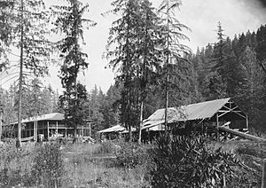 McCredie Springs Resort and sawmill in 1910