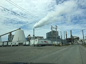 McKinley Paper Company Port Angeles