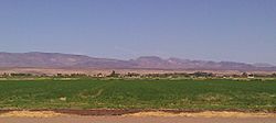Mohave Valley.jpg