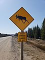 Moose crossing warning sign