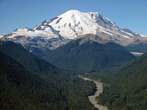 Mount Rainier 7431