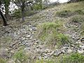 Mount William Aboriginal stone axe quarry