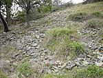 Mount William Aboriginal stone axe quarry.jpg