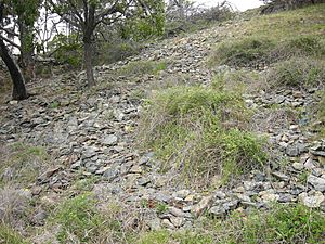 Mount William Aboriginal stone axe quarry