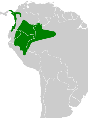 Myrmotherula ignota map.svg