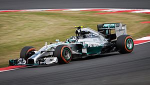 Nico Rosberg – 2014 British Grand Prix – Friday Free Practice