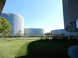 Nuovo Campus SANAA Milano 1