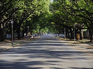 Oak Avenue, Potchefstroom-002