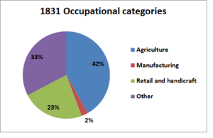 Occupational Categories of Bridekirk in 1831