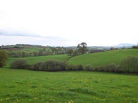Offa's Dyke Path near Hendre Farm - geograph.org.uk - 167886
