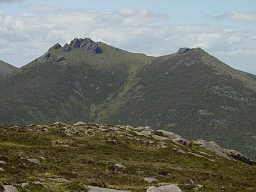 On Cove Mountain, view west. - geograph.org.uk - 103344.jpg