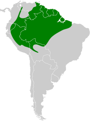 Onychorhynchus coronatus map.svg