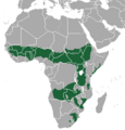 Oribi map