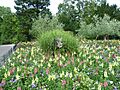 Ornamental cat in a flowerbed, Kelsey Park - geograph.org.uk - 2528771