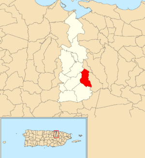 Location of Río within the municipality of Guaynabo shown in red