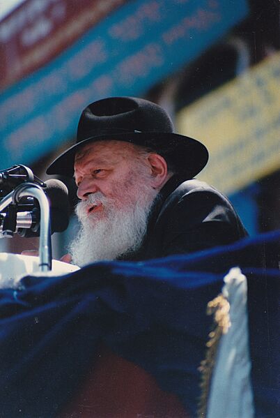 Rabbi Menachem Mendel Schneerson2