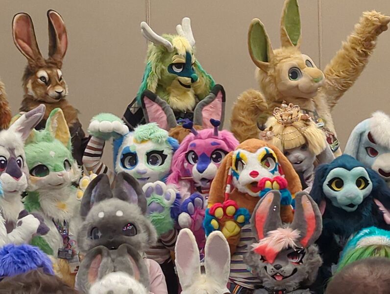Rabbit fursuiters at mff 2025