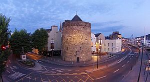 Reginald's Tower, The Quay, Waterford City, Ireland.JPG