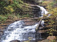A slide of white water with a ninety degree turn at the halway point, with a stair step like character in the stone beneath. It is autumn and bright yellow leaves appear in the trees over the falls. Newly fallen leaves are visible on the rocks around the falls.