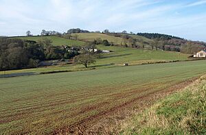 St Francis Convent, Posbury - geograph.org.uk - 1736880
