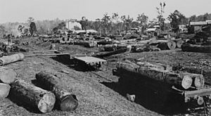 StateLibQld 2 293691 Lumber yards at a Ravenshoe sawmill, 1934