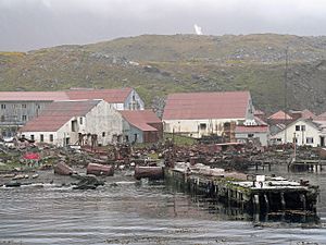 Ruins of the whaling station Stromness