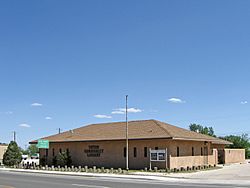 Tatum Community Library, May 2009