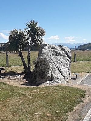 Te Anau glacial erratic New Zealand