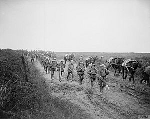 The Battle of Cambrai, November-december 1917 Q6291