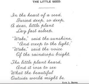 The Little Seed