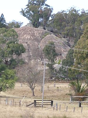 Torrington, New South Wales Facts for Kids
