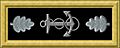 USN com rank insignia