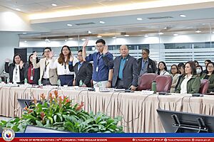 Vice President Sara Duterte refuses to take an oath at a congressional budget hearing
