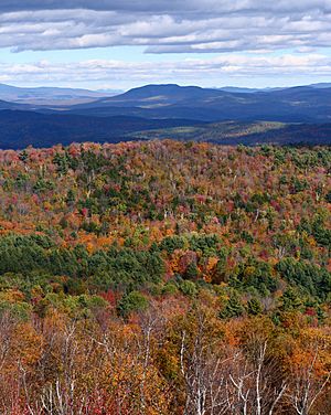View from Gile Mountain fire tower in autumn