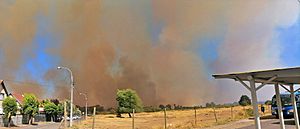Vista Incendio forestal Boyen Chillan 2023