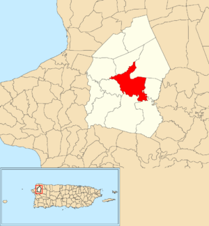 Location of Voladoras within the municipality of Moca shown in red
