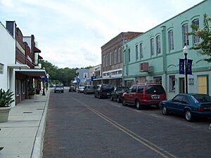 Winter Garden Downtown Dist Street01