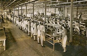 Women working in a cannery