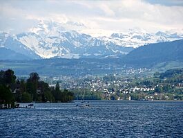 Zürichsee - Erlenbach - Wädenswil-Schönenberg IMG 2204.JPG