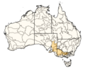 Aha evansi distribution