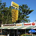 BigBunchOfBananas Sawtell