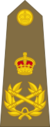 British Army (1920-1953) OF-10.svg