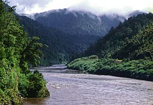 Buller River near Berlins