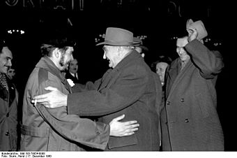 Bundesarchiv Bild 183-78854-0008, Heinrich Rau und Dr. Ernesto Guevara