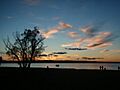 Burtlakesp